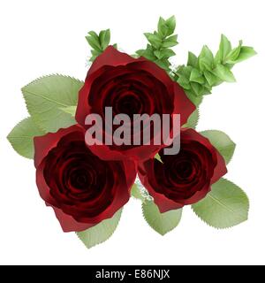 Vue du haut de trois roses rouges dans un vase isolé sur fond blanc Banque D'Images