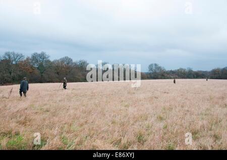 Dans la campagne Banque D'Images