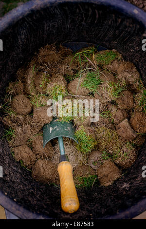 Les petites mottes de terre dans un seau avec une truelle lors de l'ensemencement dans un jardin. Banque D'Images