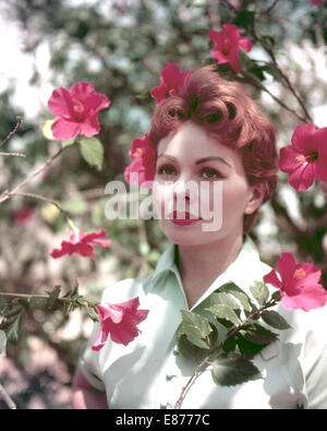 JEANNE CRAIN (1925-2003) Actrice américaine vers 1955 Banque D'Images