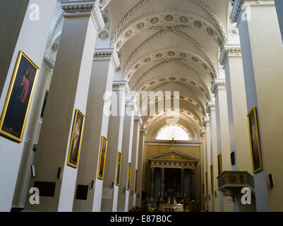 Vue de l'intérieur de la cathédrale de Vilnius/Katedra, Vilnius, Lituanie Banque D'Images