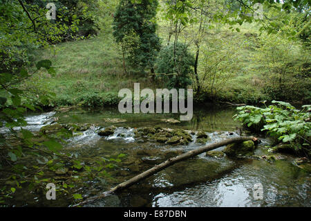 Millers Dale dans le Derbyshire par Rivière Wye Banque D'Images