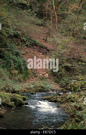 Millers Dale dans le Derbyshire par Rivière Wye Banque D'Images