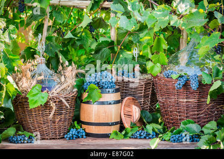 Demijohn dans un panier en osier et de raisins noirs Banque D'Images