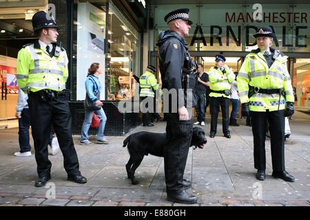 Effectuer des recherches de la Police des drogues dans les rues de Manchester. Banque D'Images
