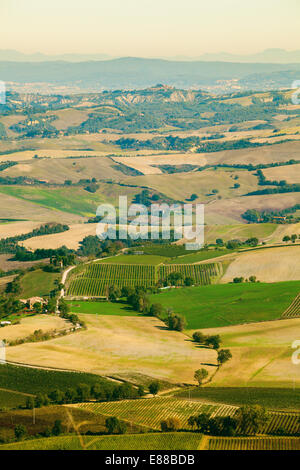 Vue de paysage rural Toscane italienne ; collines avec vignoble, terres agricoles et champ labouré Banque D'Images
