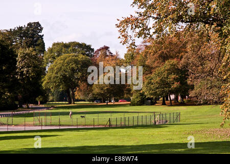 Dundee, Écosse, Royaume-Uni. 2 octobre, 2014 : Météo, canicule de l'automne. Le Met Office a enregistré que Septembre / Octobre 2014 est le plus chaud de l'automne dans le Royaume-Uni depuis 1910. Les personnes bénéficiant de la douceur du temps et de l'intérieur couleurs automnales Camperdown Country Park à Dundee en Écosse. Credit : Dundee Photographics/Alamy Live News Banque D'Images