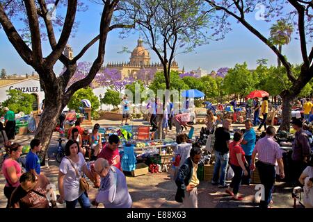 Marché, Alameda Vieja, Jerez de la Frontera, province de Cadiz, Andalousie, Espagne, Europe Banque D'Images