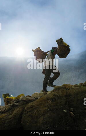 Droit des travailleurs rétroéclairé chargé avec des morceaux de soufre réduit à partir d'une mine de soufre sur le lac du cratère Ijen, Java, Indonésie, Asie Banque D'Images