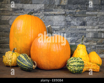 Les citrouilles et courges d'été divers sur fond noir en gris foncé Banque D'Images