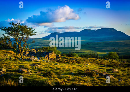 Le Rhinogs dans le parc national de Snowdonia Banque D'Images