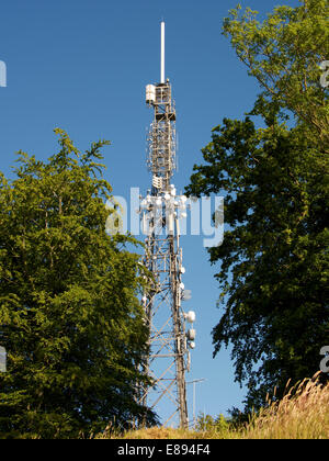 Reigate Hill TV et radio transmettant Mast Banque D'Images