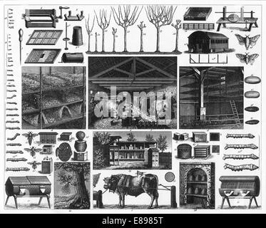 Illustrations gravées de l'Agriculture de l'encyclopédie iconographique de la science, de la littérature et l'Art, publié en 1851. Banque D'Images