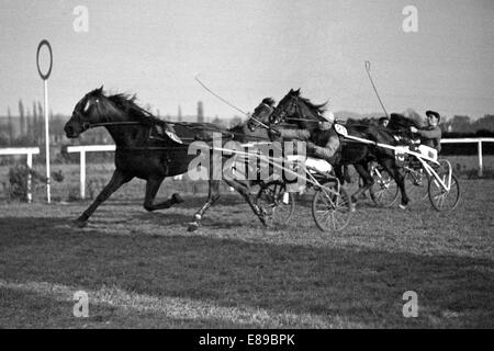 Dresde, Allemagne de l'Est, la course à l'hippodrome de Seidnitz Banque D'Images