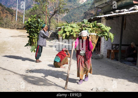 Vieille Femme et homme avec panier dans la région du Népal Annapurna Banque D'Images