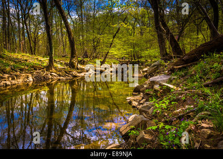 Reflets dans le canal Patowmack à Great Falls Park, en Virginie. Banque D'Images