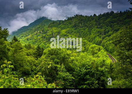 Vue spectaculaire sur les montagnes des Appalaches à partir de Newfound Gap Road, à Great Smoky Mountains National Park, Tennessee. Banque D'Images