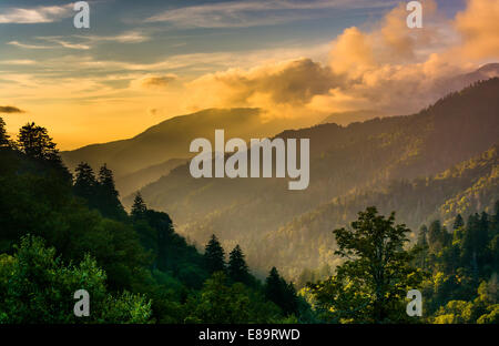 Lumière du soir sur la Smokies, vu depuis un belvédère sur Newfound Gap Road dans le Great Smoky Mountains National Park, Tennessee. Banque D'Images