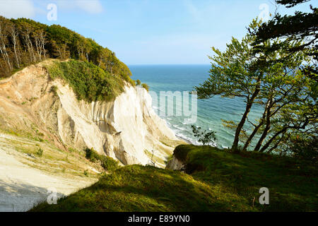 Les falaises de craie de Møns Klint, Møn ou l'île de Moen, Danemark Banque D'Images