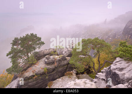 Vue sur les montagnes de grès de l'Elbe à ​​The Schrammsteine, à l'automne, Suisse Saxonne, Bad Schandau, Saxe, Allemagne Banque D'Images