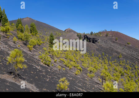 San Martín, le volcan Cumbre Vieja dans Fuencaliente, La Palma, Canary Islands, Spain Banque D'Images