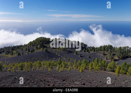 Vue depuis le volcan Cumbre Vieja, San Martín, Fuencaliente de La Palma, Îles Canaries, Espagne Banque D'Images