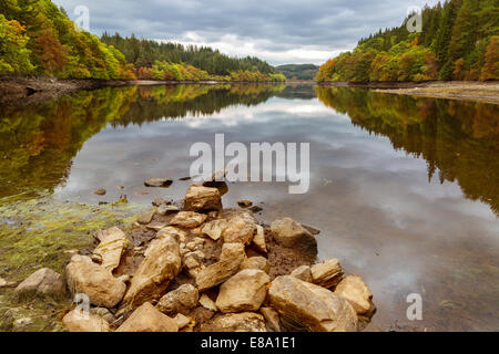 L'eau calme encore du Loch Drunkie, trois lacs dur, Aberfoyle, Ecosse, Royaume-Uni Banque D'Images