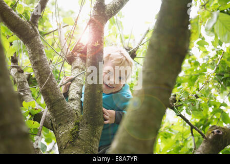 Jeune garçon blond en jouant dans le jardin cherry tree Banque D'Images