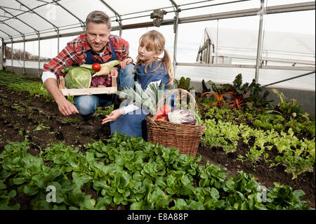 Père et fille la cueillette des légumes en serre Banque D'Images