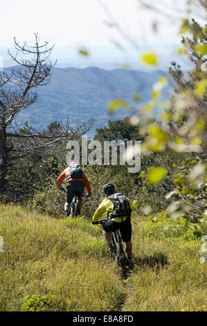 Deux vélos de montagne sur le chemin, descente de la vallée de Vipava, Istrie, Slovénie Banque D'Images