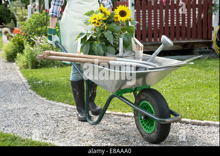 Détails woman pushing wheelbarrow jardin Banque D'Images