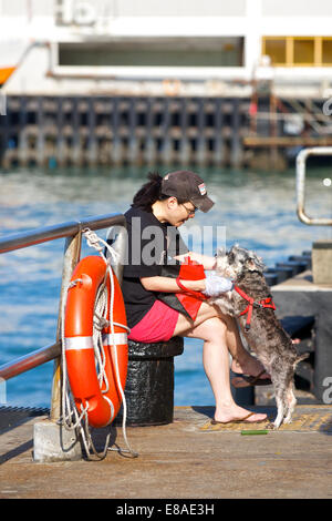 Le meilleur ami d'une fille. Jeune femme chinoise joue avec son chien sur le bord de North Point, Hong Kong. Banque D'Images