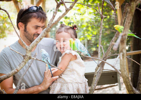 Père et fille à la perruche à perruches au zoo Banque D'Images