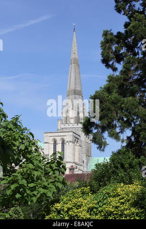 La cathédrale de Chichester de Bishop's Palace Gardens Banque D'Images