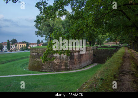 Vue depuis les remparts de la ville pour les zones externes, Lucca, Toscane, Italie Banque D'Images