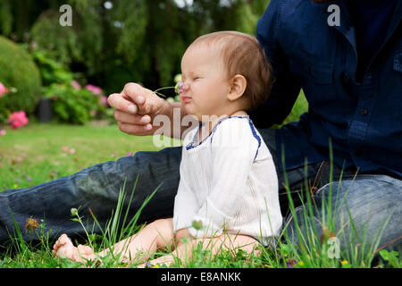 Père de chatouiller le nez de bébé filles avec de l'herbe dans le jardin Banque D'Images