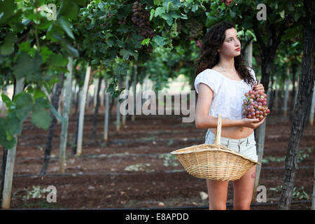 Jeune femme debout entre les vignes, raisins holding