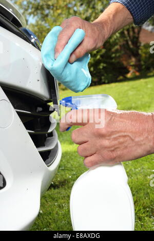 L'homme dépose les insectes d'une voiture Close Up Banque D'Images