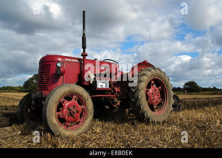 David Brown vintage tracteur 25d Banque D'Images