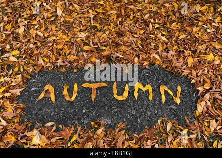 Les mots écrits avec des feuilles d'automne Banque D'Images
