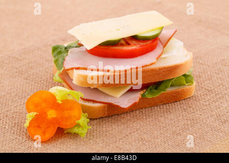 Sandwich avec biscottes, légumes, fromage et bacon sur toile de fond. Banque D'Images