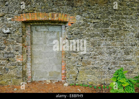 Bloqué vers le haut de la porte dans le jardin de pierre du mur. Banque D'Images