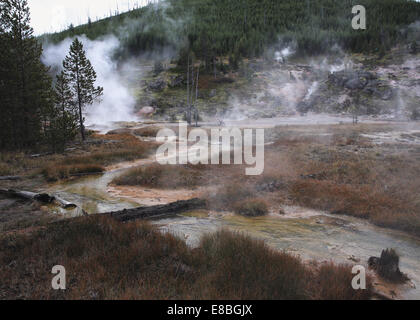 Les Pots de peinture de l'artiste des piscines thermales volcaniques, dans le Parc National de Yellowstone, Montana, USA Banque D'Images