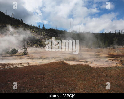 Les Pots de peinture de l'artiste des piscines thermales volcaniques, dans le Parc National de Yellowstone, Montana, USA Banque D'Images