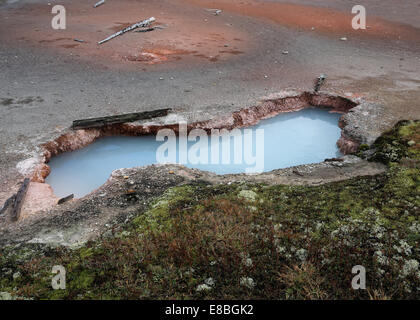 Les Pots de peinture de l'artiste des piscines thermales volcaniques, dans le Parc National de Yellowstone, Montana, USA Banque D'Images