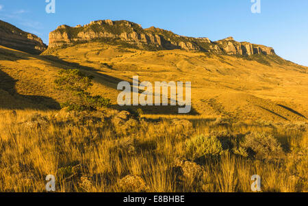 Vue sur le paysage vallonné du parc d'état de Buffalo Bill montrant les Rocheuses près de Cody, USA. Banque D'Images