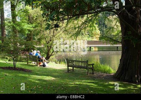 Quatre vieillards assis sur un banc près du lac, dans les jardins de Kew sur une belle journée d'automne. Banque D'Images