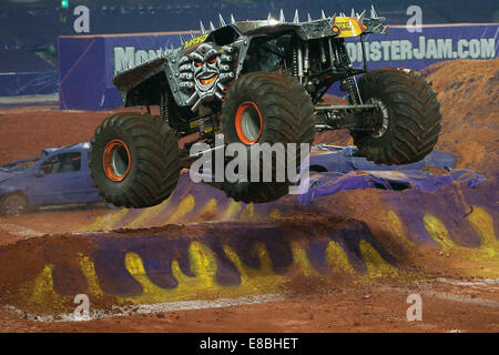 Melbourne, Victoria, Australie, Australie. 4ème Oct, 2014. TOM MEENTS roulant Max-D en action au cours de la 2014 Monster Jam à l'AAMI Park, Melbourne, Australie. Crédit : Tom Griffiths/ZUMA/Alamy Fil Live News Banque D'Images