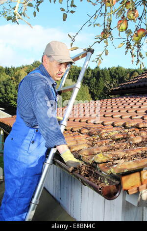 Un jardinier de nettoyer une gouttière de feuilles Banque D'Images