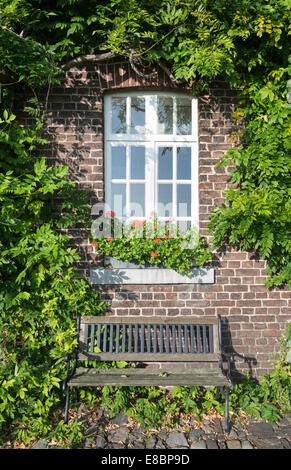 Ancienne ferme avec des plantes vertes sur le mur et sur l'ancien siège des pierres dans le jardin Banque D'Images